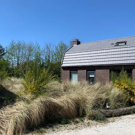 Duinpark - Goudvink No.8