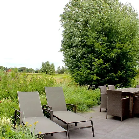 Duinpark - Goudvink No.8 *